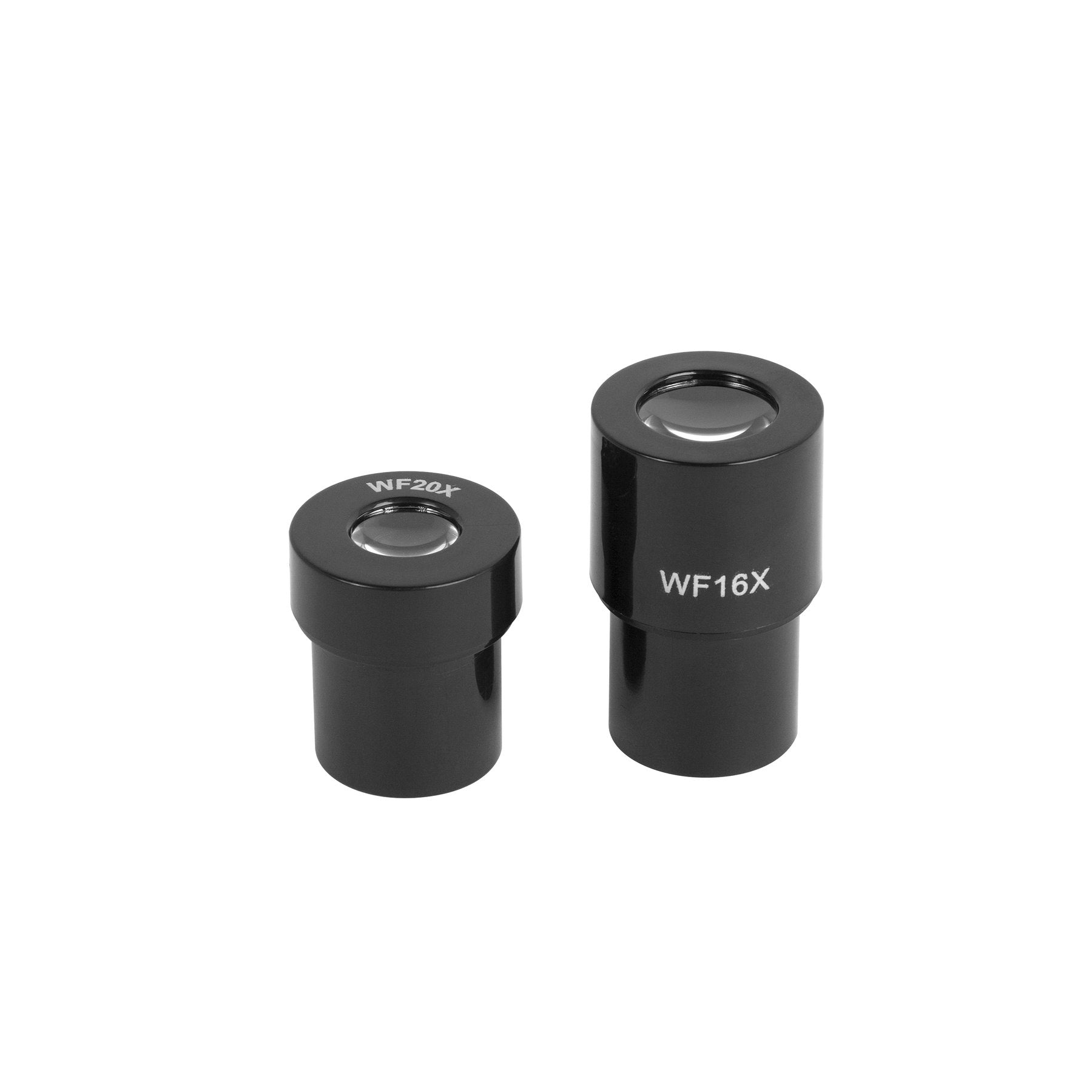 Discovery 800x LED Advanced Microscope 44-00720 - CoreScientifics-Telescopes, Sport Optics & More