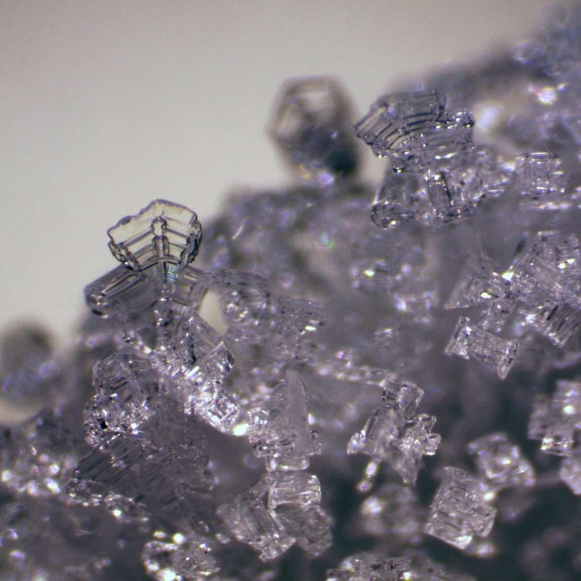 Bresser Erudit L.E.D ICD Stereo Microscope-58-03600 - CoreScientifics-Telescopes, Sport Optics & More